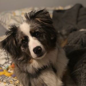 Meet your Posher, Hailey